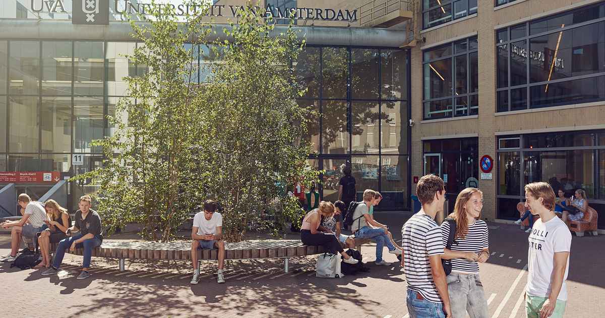 phd in human resource management in netherlands